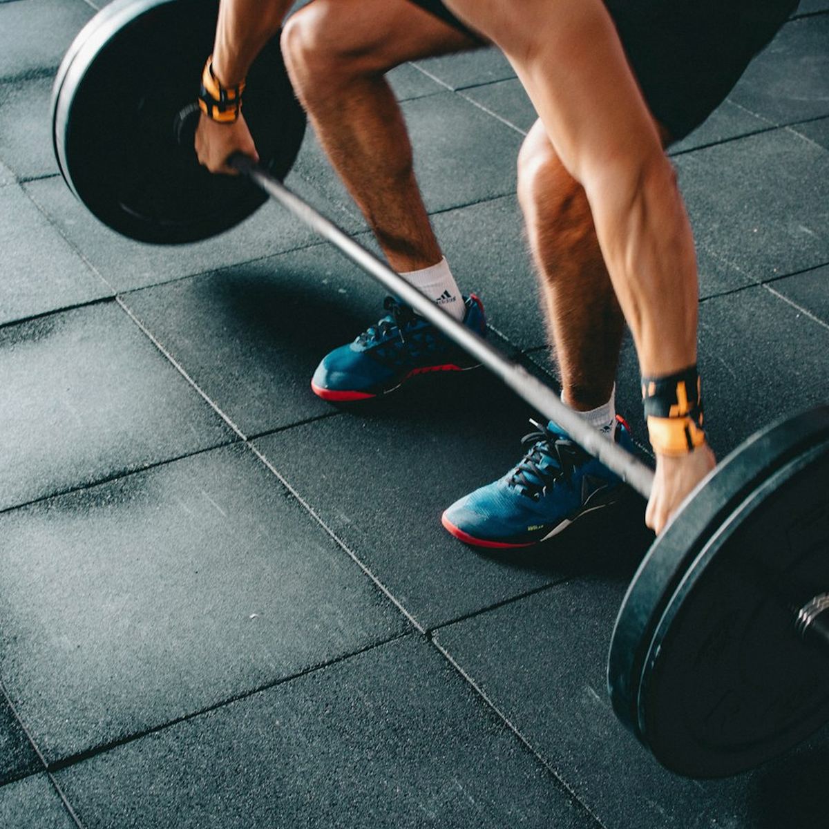 Lotus Fit Studio